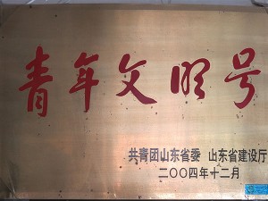 公司荣誉
