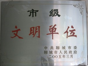公司荣誉