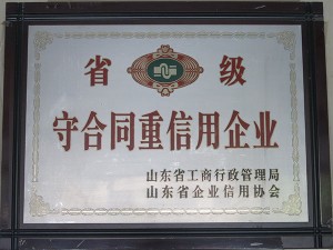 公司荣誉