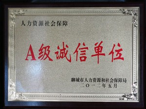 公司荣誉