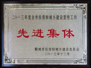 公司荣誉