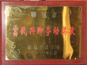 公司荣誉