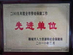 公司荣誉
