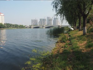 徒骇河利民桥