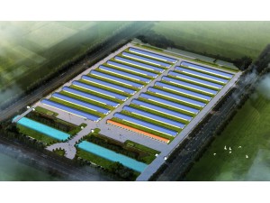 山东凤祥股份有限公司石佛镇鲁庄鸡场